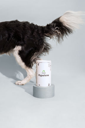 Hypolene