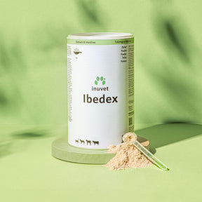 Ibedex Polvo