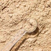 Ibedex Polvo