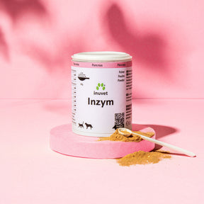 Inzym Polvo