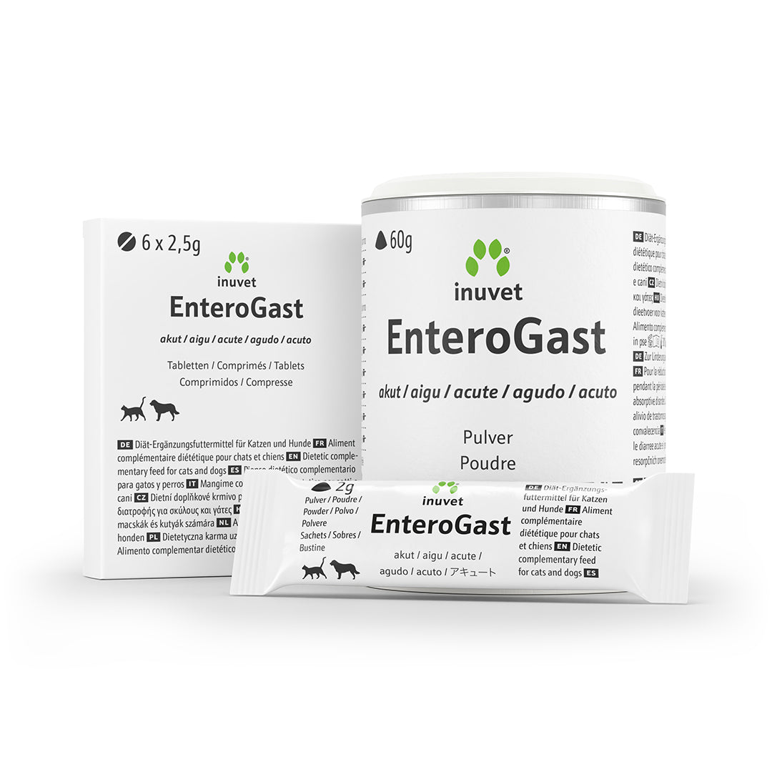 EnteroGast akut