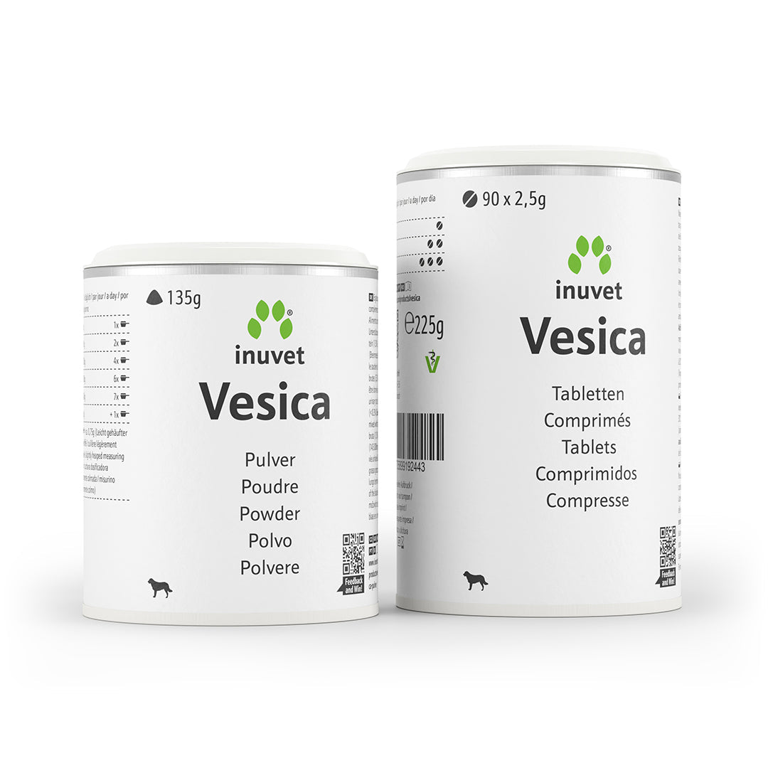 Vesica
